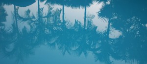 palm travel getaways