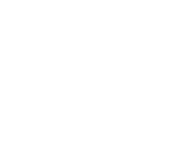 Google Plus icon