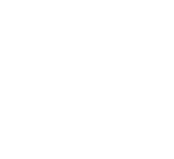 Youtube icon