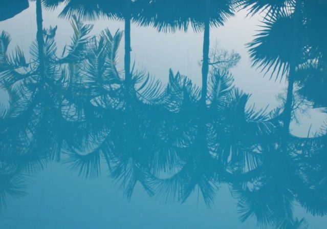 relectingpalms-min