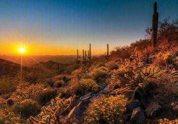 scottsdale1-min